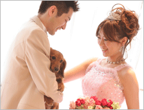 パル法円坂ペットと結婚式