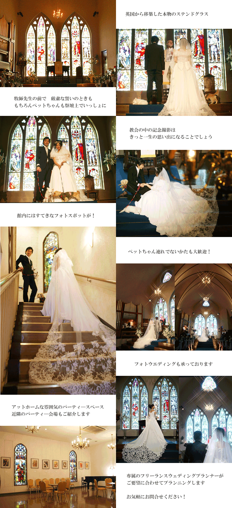 ペットと一緒の結婚式フランセス教会