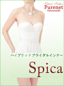 ドレスインナー