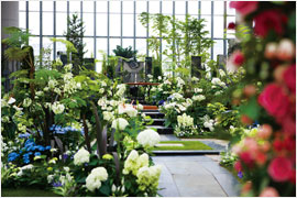 奇跡の森の植物園